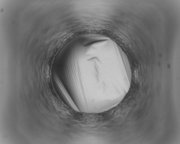 X0000088360963200706121051