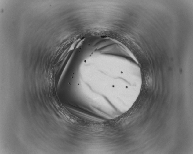 X0000088360964200706121051