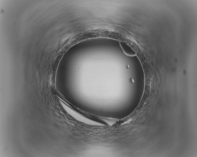 X0000088360965200706121051