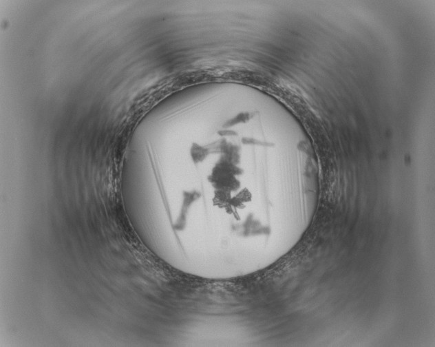 X0000088360966200706121051