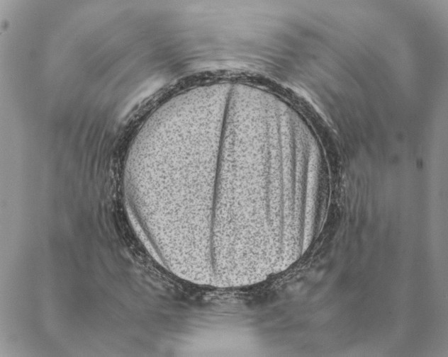 X0000088360967200706121051