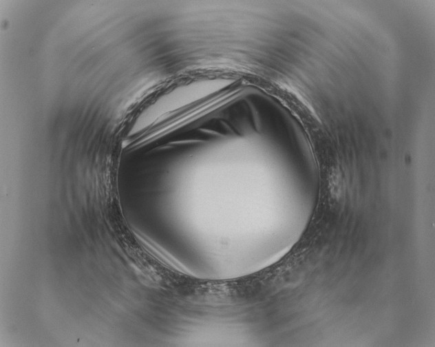 X0000088360968200706121051