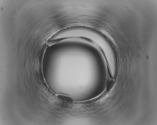 X0000088360969200706121051