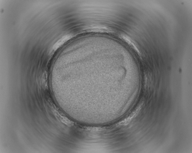 X0000088360970200706121051