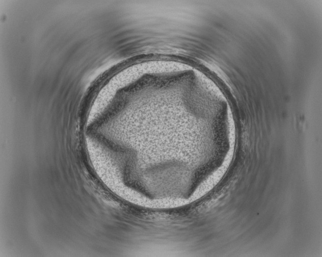 X0000088360971200706121051