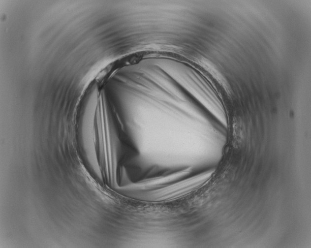 X0000088360972200706121051