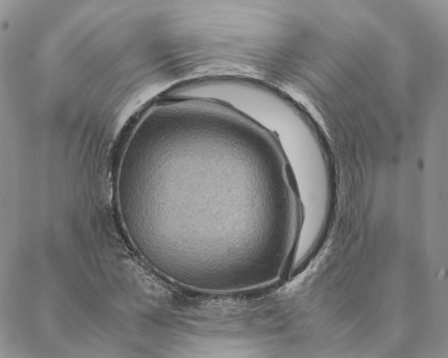 X0000088360973200706121051