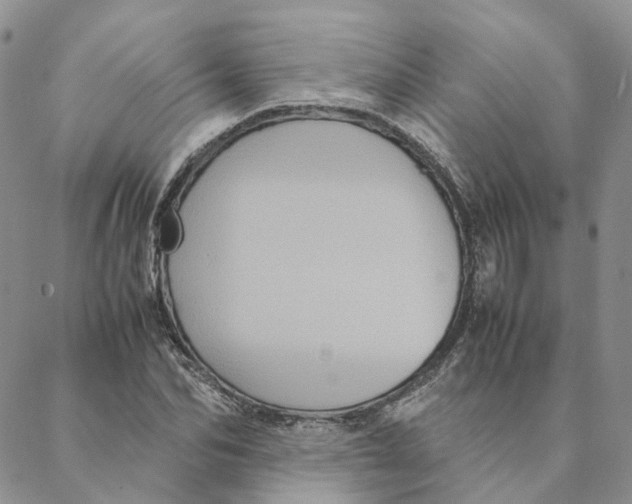 X0000088360974200706121051