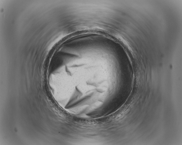 X0000088360975200706121051