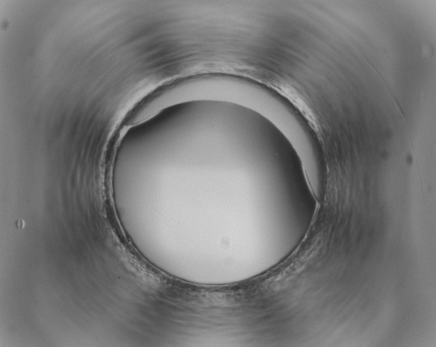 X0000088360976200706121051