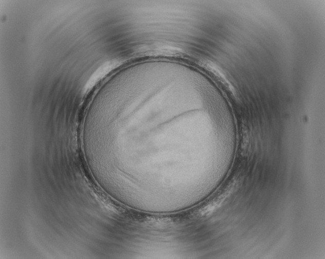 X0000088360978200706121051