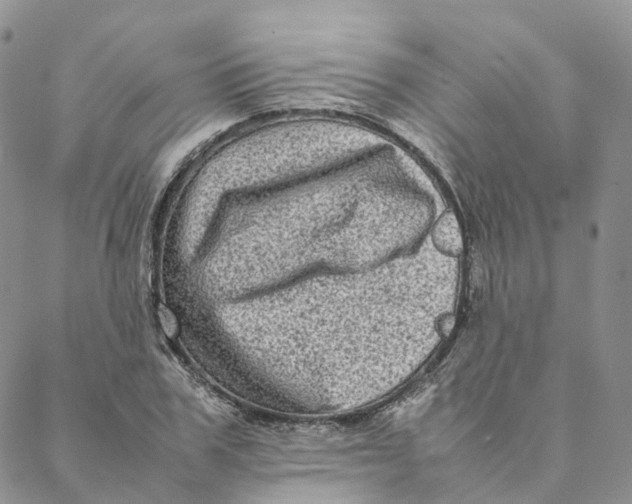 X0000088360979200706121051