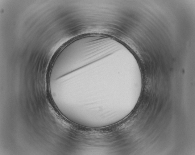 X0000088360980200706121051