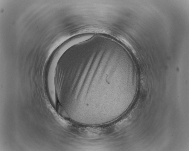 X0000088360981200706121051