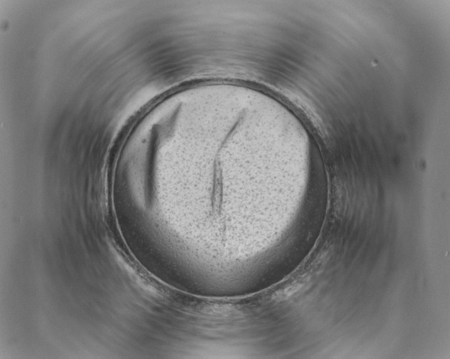 X0000088360982200706121051