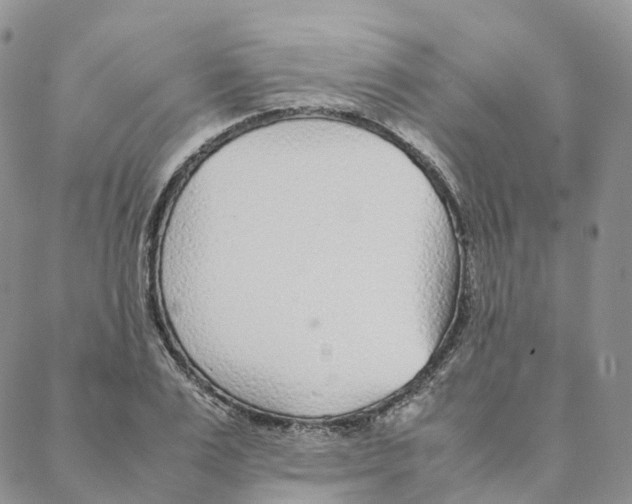 X0000088360983200706121051