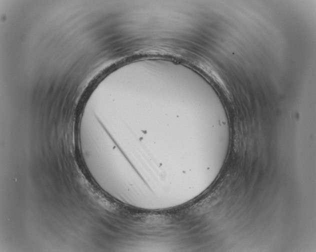 X0000088360984200706121051