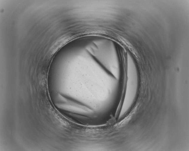 X0000088360985200706121051