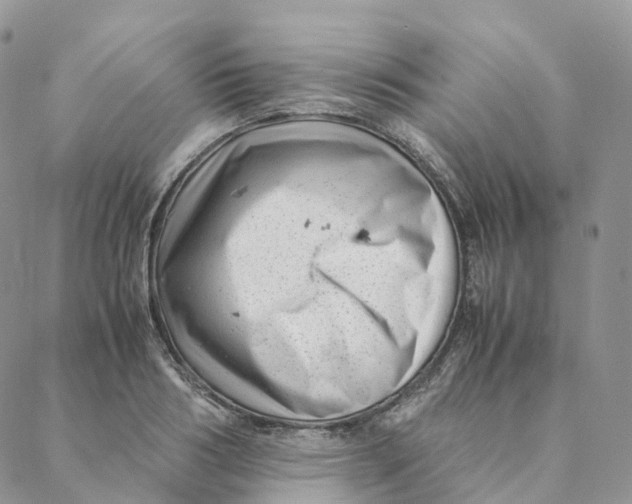 X0000088360986200706121051