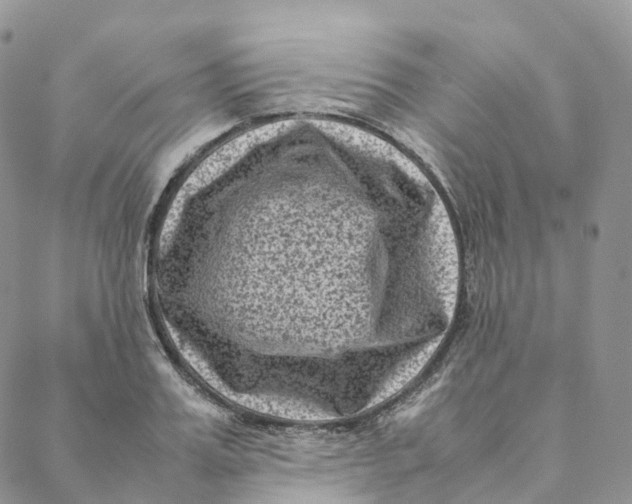 X0000088360987200706121051