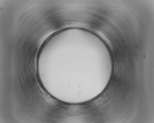 X0000088360988200706121051