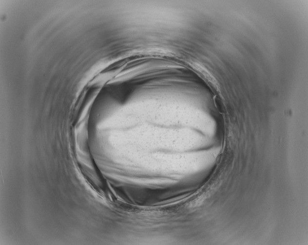 X0000088360989200706121051