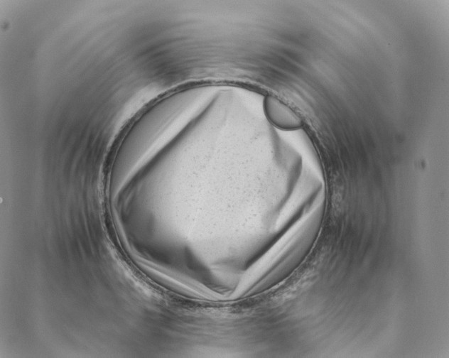 X0000088360990200706121050