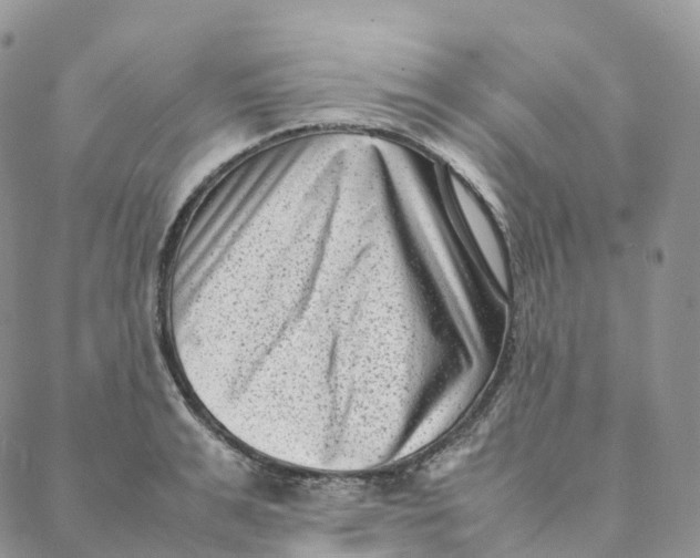 X0000088360991200706121050