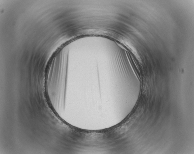 X0000088360992200706121050