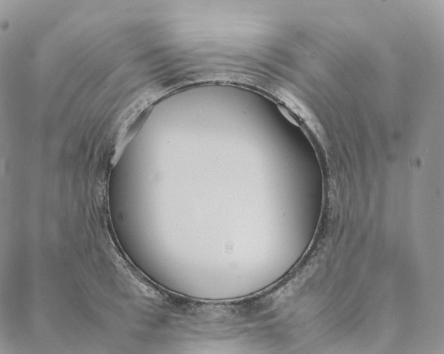 X0000088360993200706121050