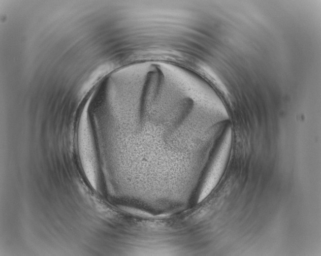 X0000088360994200706121050