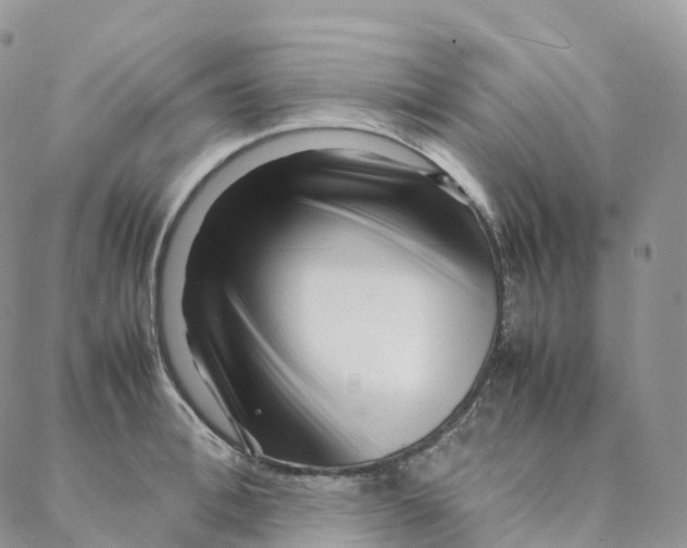 X0000088360996200706121050