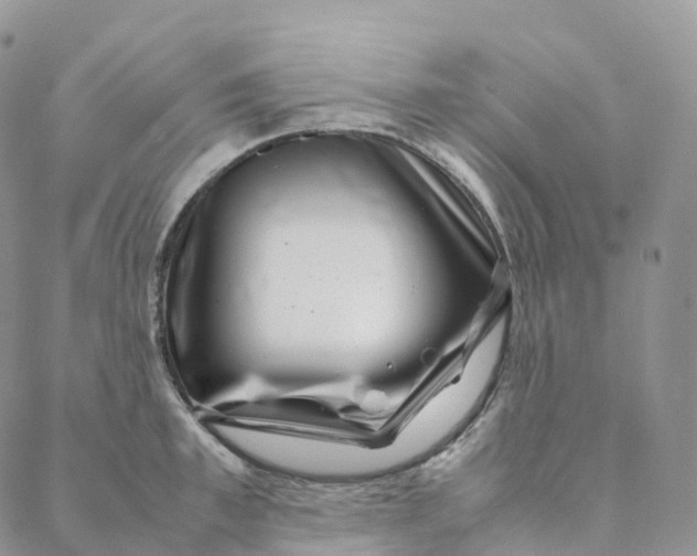 X0000088360997200706121050