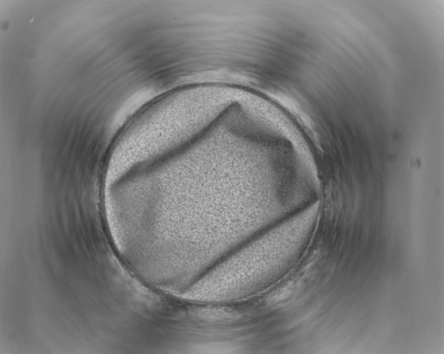 X0000088360998200706121050