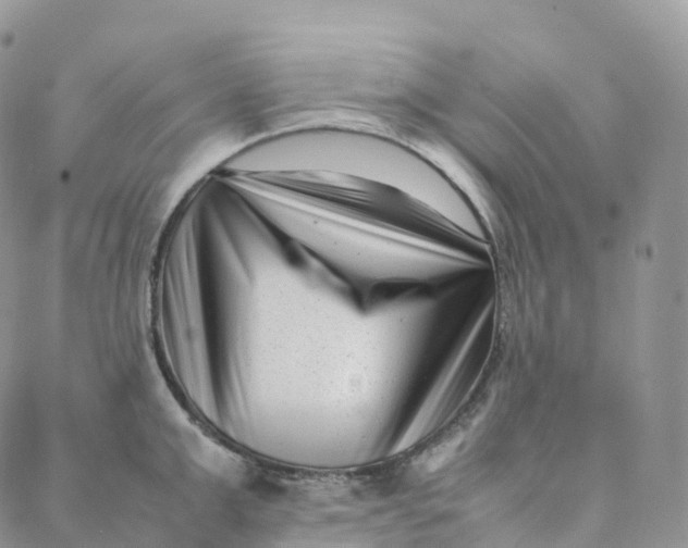 X0000088360999200706121050