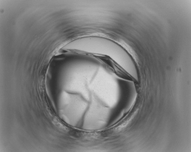 X0000088361001200706121050