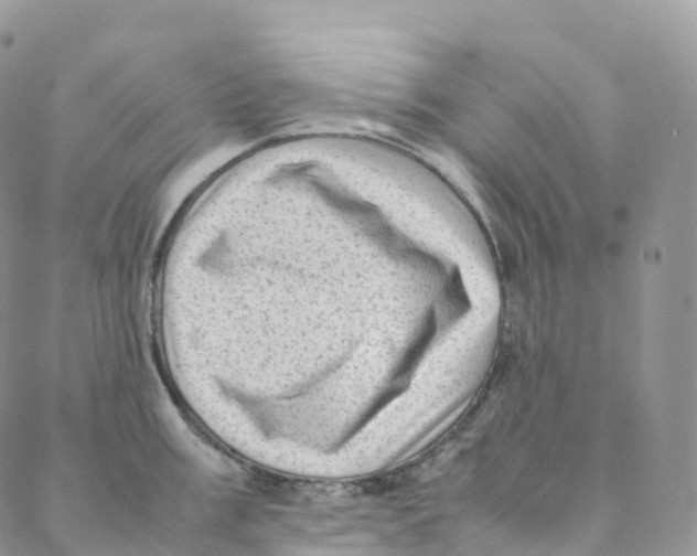 X0000088361003200706121050