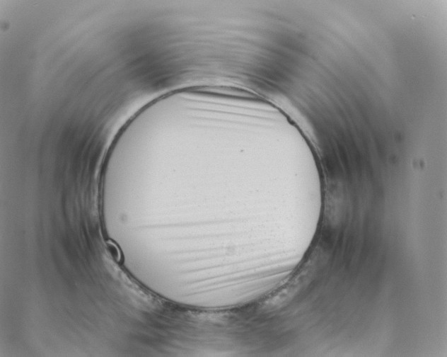 X0000088361004200706121050