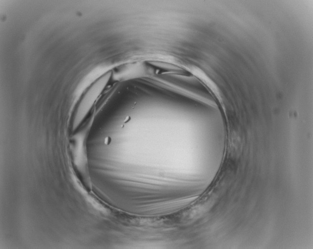 X0000088361005200706121050