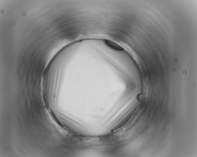 X0000088361006200706121050