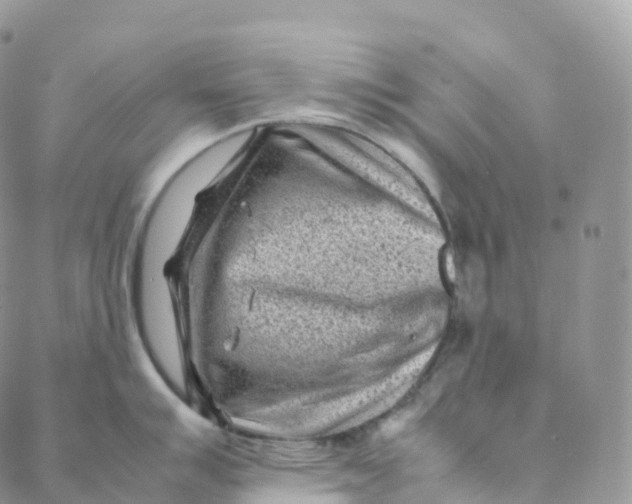 X0000088361007200706121050