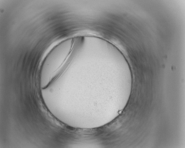 X0000088361008200706121050