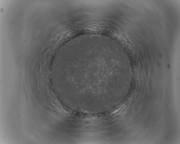 X0000088361009200706121049