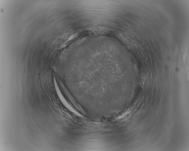 X0000088361010200706121049