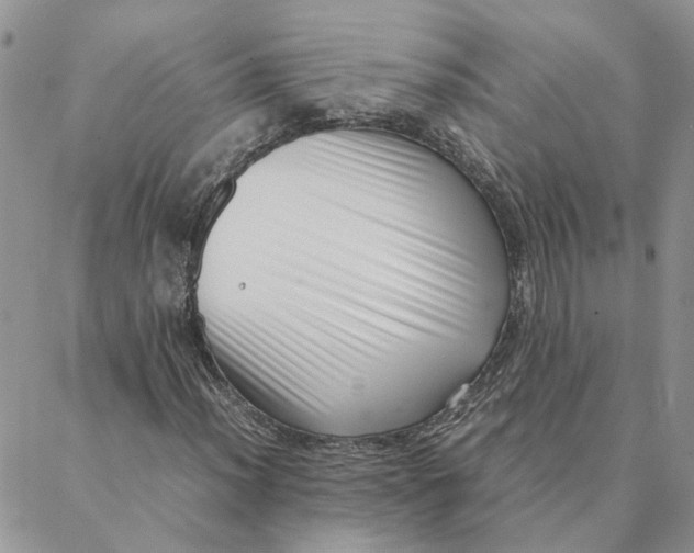 X0000088361012200706121049