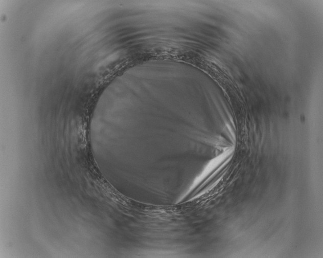 X0000088361013200706121049