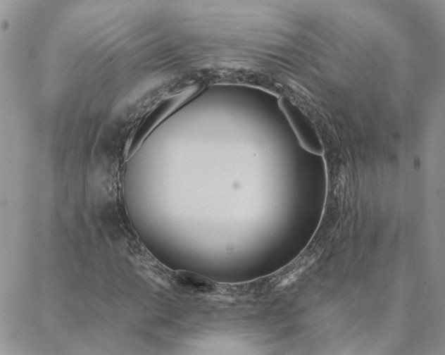 X0000088361014200706121049