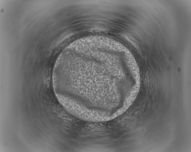 X0000088361015200706121050