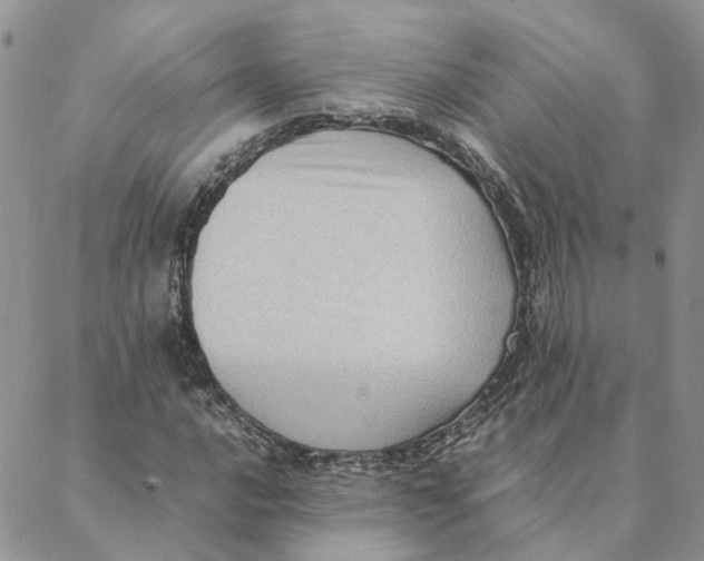 X0000088361016200706121050