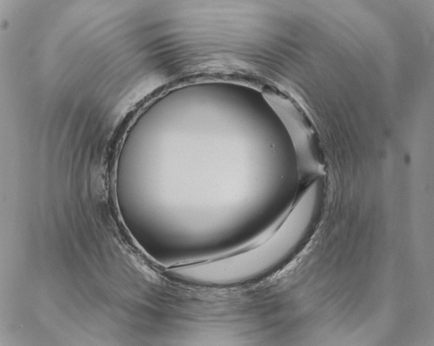 X0000088361018200706121050